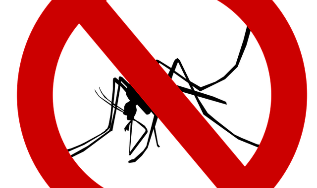 Grafika przedstawia znak zakazu. Znak jest w kształcie koła. Obwódka koła jest w kolorze czerwonym. W środku znaku znajduje się komar, który jest przekreślony czerwoną kreską.